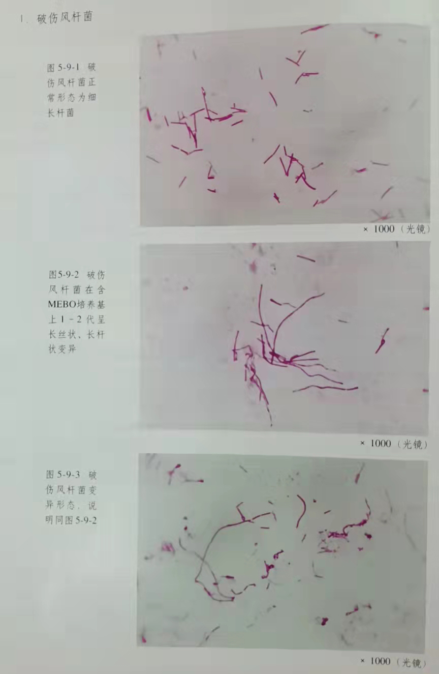 极悦-极悦注册(平台网站)
