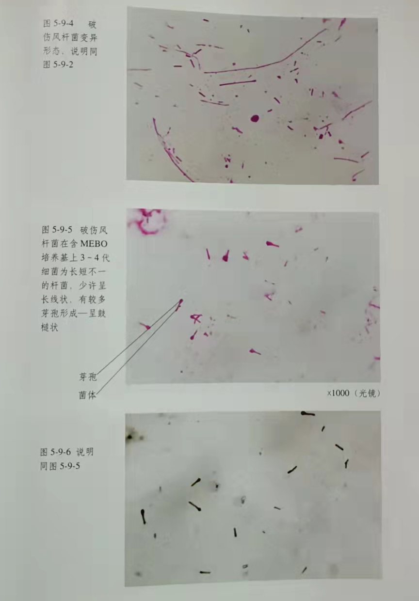 极悦-极悦注册(平台网站)