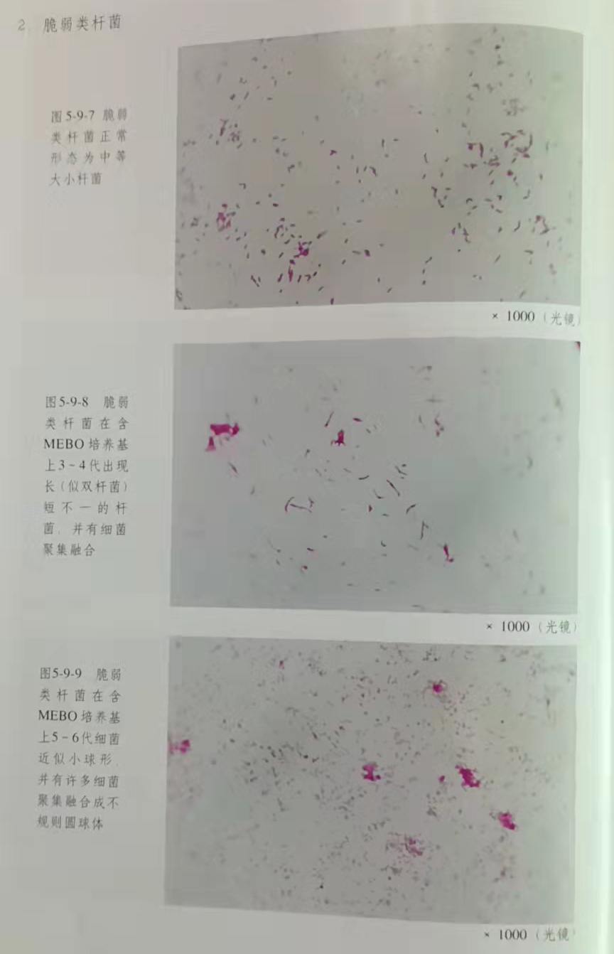 极悦-极悦注册(平台网站)