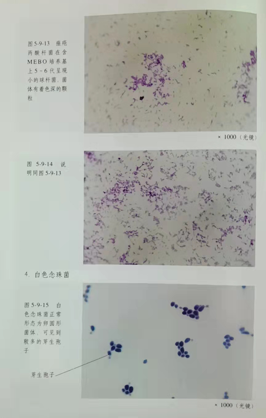 极悦-极悦注册(平台网站)