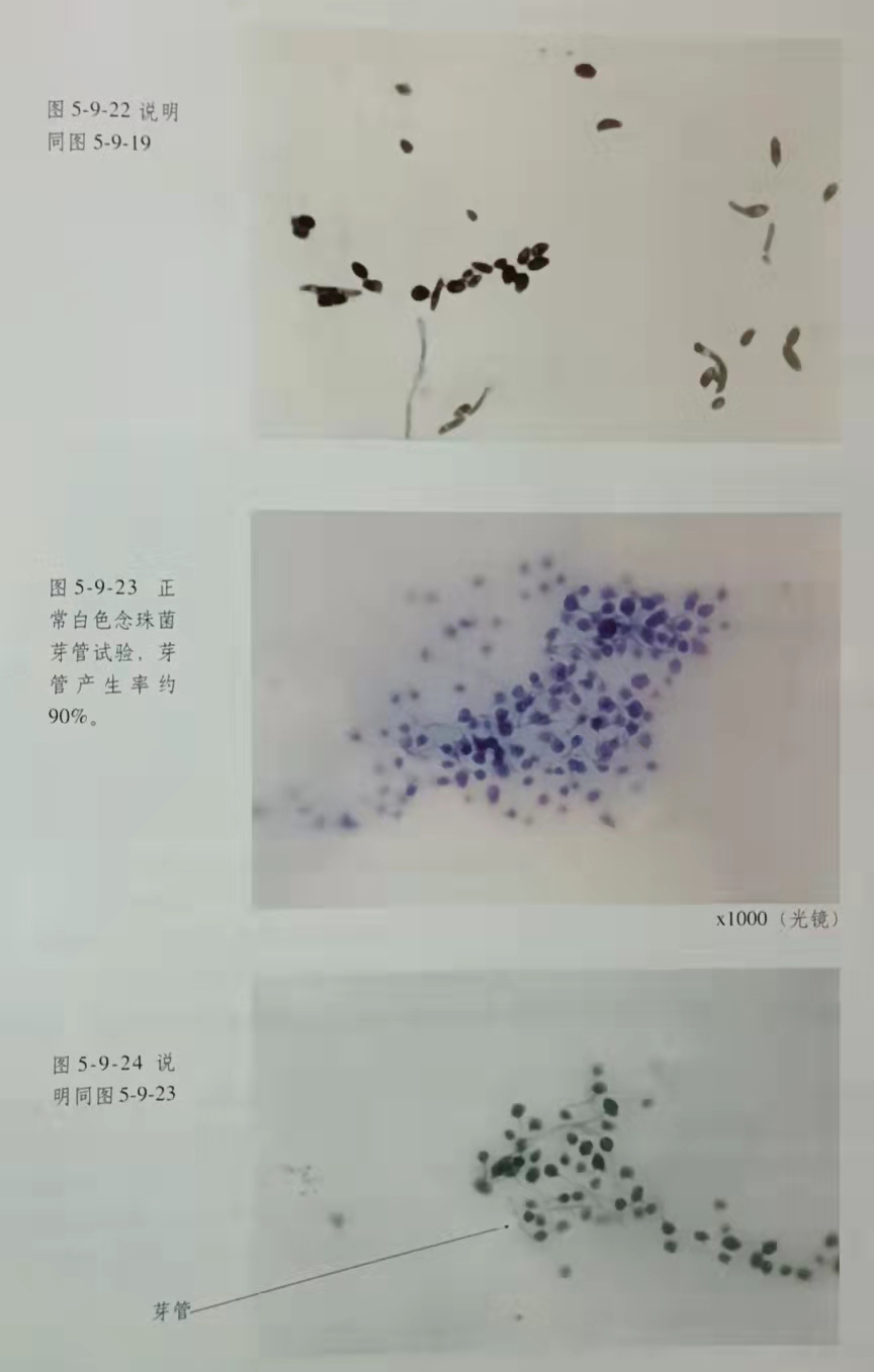 极悦-极悦注册(平台网站)