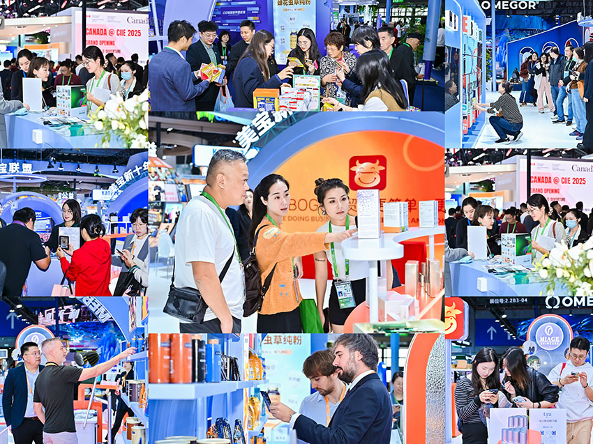 ����-����ע��(ƽ̨��վ)