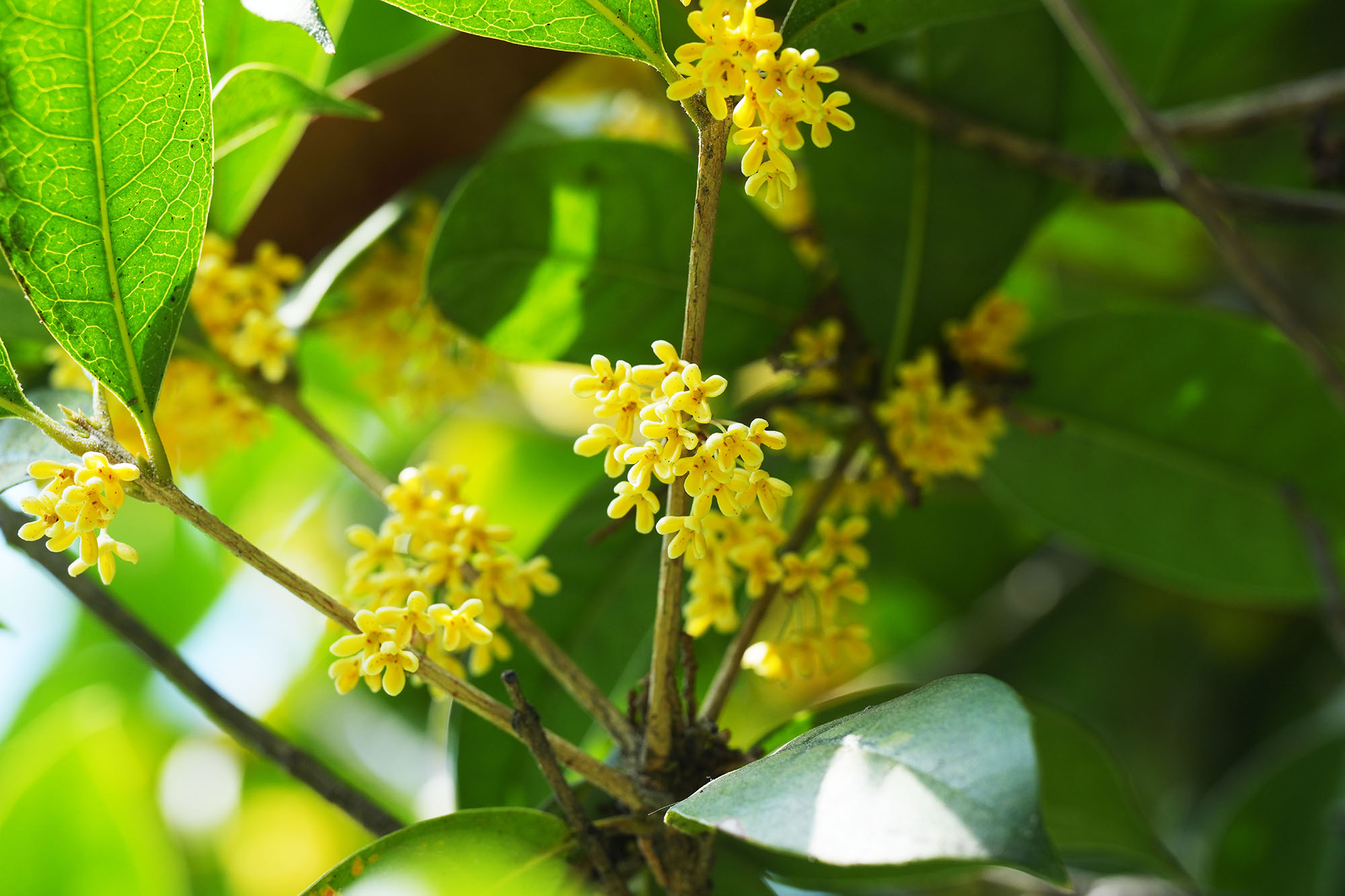 极悦-极悦注册(平台网站)
