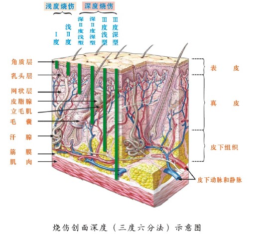 极悦-极悦注册(平台网站)
